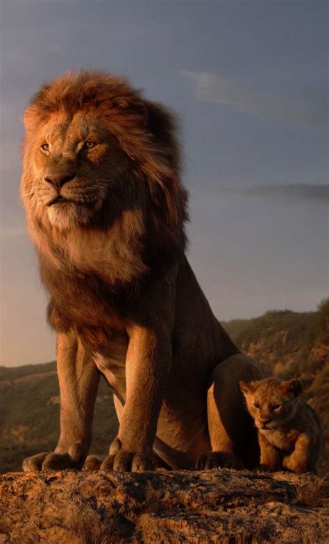 Lion King 3d Wallpapers Wallpaper Cave