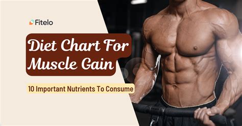Diet Chart For Muscle Gain 10 Important Nutrients To Consume