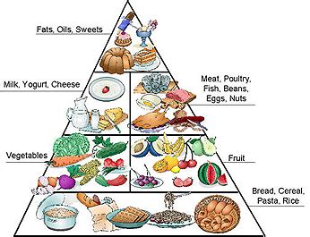 Kolesterol yang tinggi itu merupakan biang masalah bagi berbagai macam penyakit misalnya saja. FH: Skandal pyramid makanan .3gp