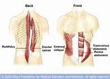 Body''s Core Muscles Pictures
