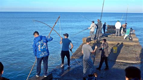 Hoy Toda La Pesca En Un DÍa IncreÍble En Mar Del Plata Youtube
