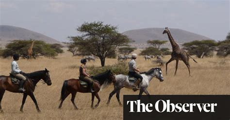 Take A Ride On The Wild Side Safaris The Guardian