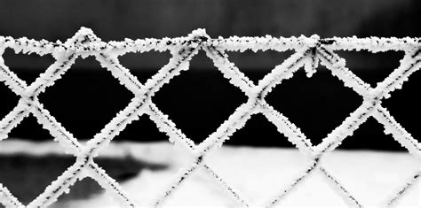 무료 이미지 자연 분기 감기 겨울 이슬 울타리 검정색과 흰색 화이트 서리 금속 눈이 내리는 단색화 자료