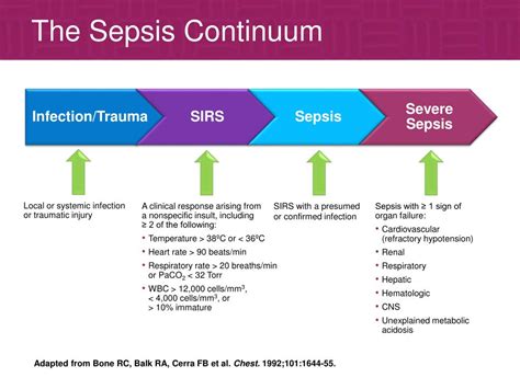 PPT Diagnosing Managing Sepsis Syndrome PowerPoint Presentation ID