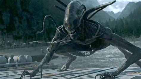 Compare this with the lame sci fi horrors we get nowadays, 1979, and it still packs a huge punch. Ridley Scott Says Another Alien Movie Is Coming, Except ...