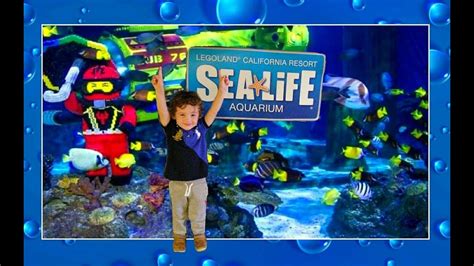 Legoland Sea Life Aquarium Youtube