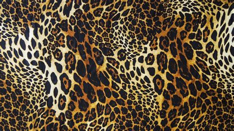 Leopard Pattern Wallpapers Top Những Hình Ảnh Đẹp