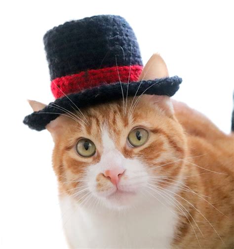Top Hat For Cats Cat Wedding Apparel Cat Formal Wear Feline Etsy