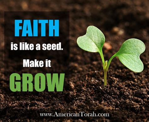 Faith Is Like A Seed Make It Grow American Torah