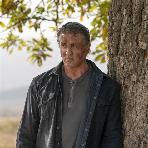 John james rambo is a fictional character in the rambo franchise.2 he first appeared in the 1972 novel first blood for faster navigation, this iframe is preloading the wikiwand page for john rambo. 2932x2932 Sylvester Stallone as John Rambo In Last Blood ...