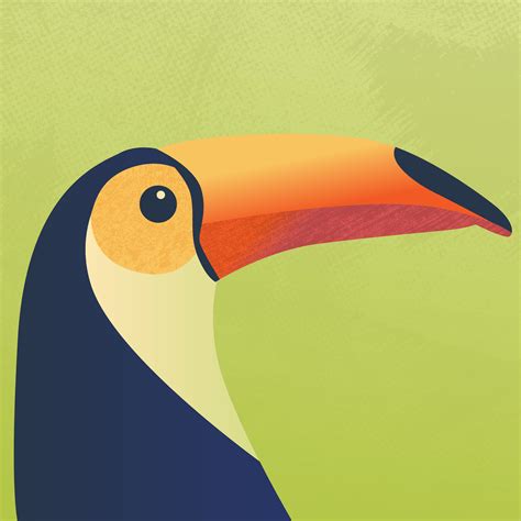 Toucan illustration by Tea Wetyskova | Toucan illustration, Tropical illustration, Bird illustration