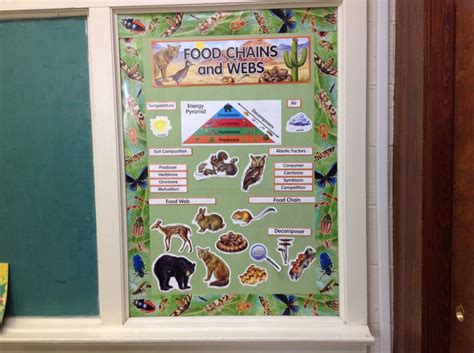 Food chain lion illustrations & vectors. The Food Chain | Energy pyramid, Food chain, Food web