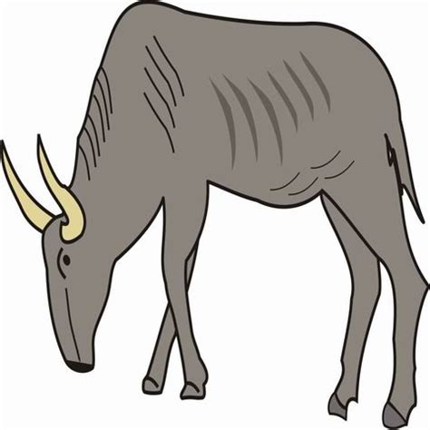 Wildebeest coloring pages, wildebeest coloring page, wildebeests coloring pages, wildebeest coloring book pages, wildebeest color pages. Download Gnu coloring for free - Designlooter 2020 👨‍🎨