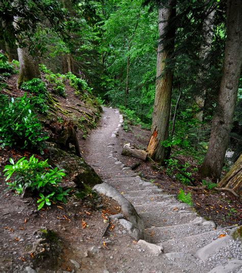 Down Into The Forest By Forestina Fotos On Deviantart