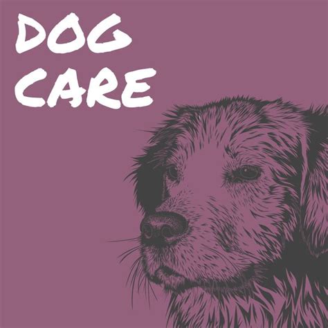 Dogcare Every Interaction You Have With Your Dog Is A Learning