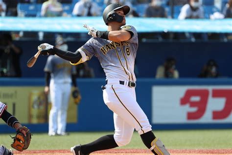 The site owner hides the web page description. 阪神・佐藤輝明 三振数と共に注目される「もう一つの記録 ...