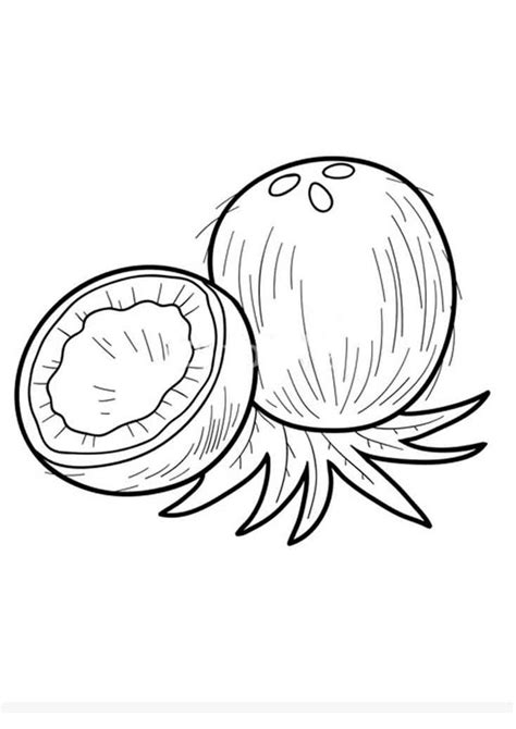 Coloring Pages Coconut Fruit Coloring Pages For Kids