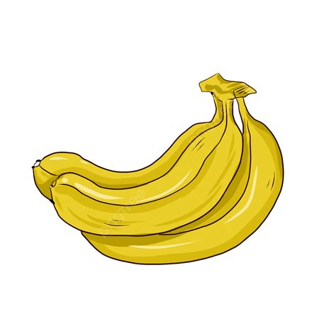 Bananas PNG Transparent Banana Fruit Yellow Banana Food PNG Image For Free Download