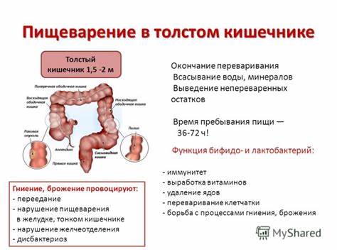 Диета при удаленном толстом кишечнике