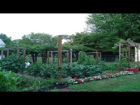 Backyard vegetable gardening has of late been given an incentive which will last for many years. My Mom's Backyard Garden | Grow Organic Vegetables ...