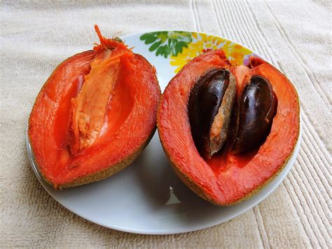 Sapote Local Tropical Fruit From Mexico