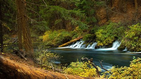 Oregon Forest Waterfall And River 4k Hd Nature Wallpapers 8cf