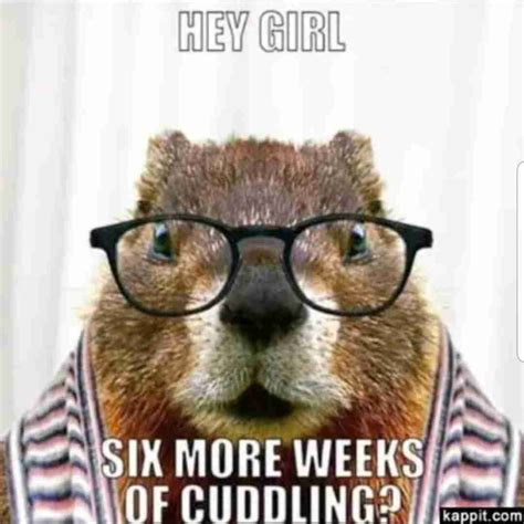 Collection Of Groundhogs Day Memes 2021 Guide For Geek Moms