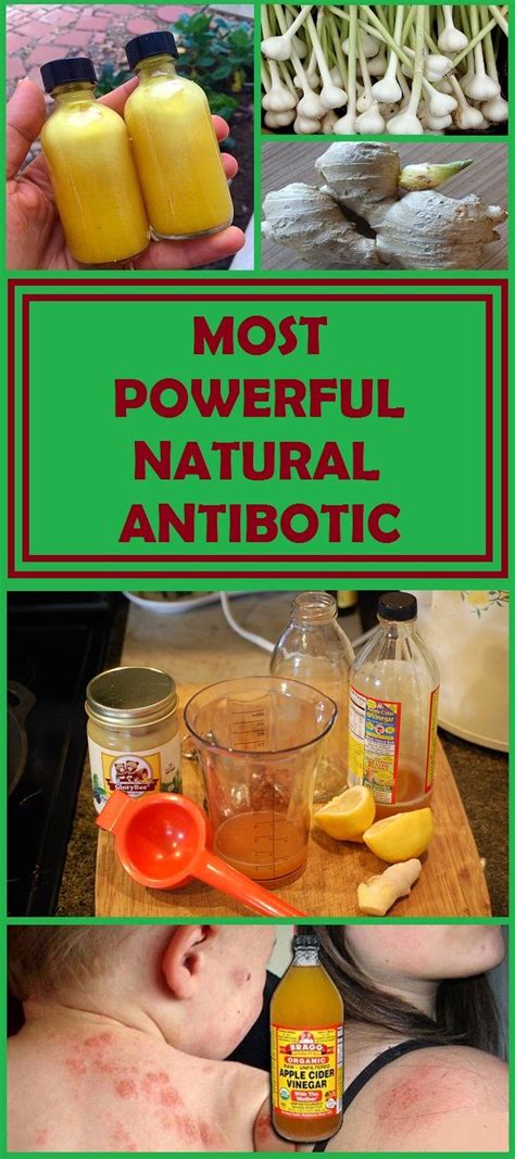 The Most Powerful Natural Antibiotic Ever Natural Antibiotics