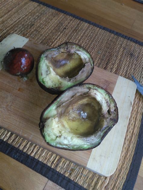ist diese Avocado schlecht? (kochen, Lebensmittel, Nahrung)
