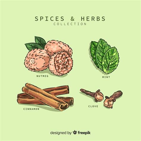 Spices And Herbs Collection | Spices and herbs, Spices, Herbs