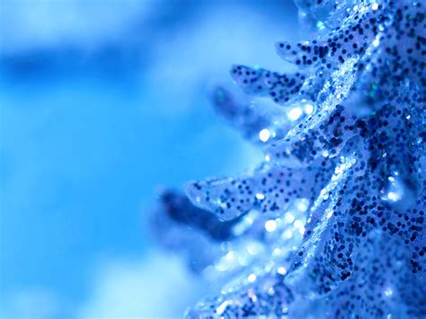 66 Blue Christmas Backgrounds On Wallpapersafari