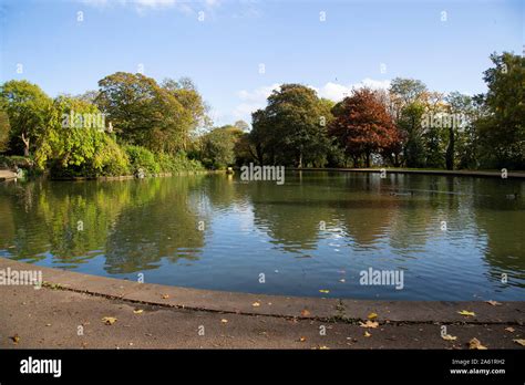 A View Of The Ornamental Lake And Autumnal Leaves On The Trees At Crow