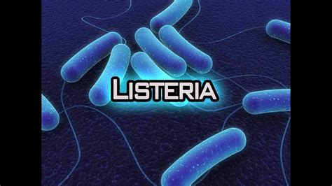 It is a facultative anaerobic bacterium, capable of surviving in the presence or absence of oxygen. Listeria a risk for pregnant women, babies, elderly ...