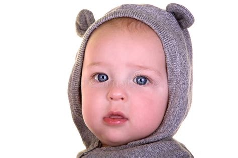 Baby Bear Stock Image Image Of Life Baby Innocent 247641185