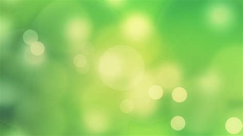 13 Top Light Green Background Images Complete Background Collection