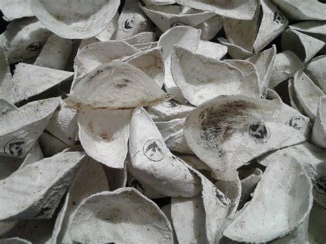 Maybe you would like to learn more about one of these? Peralatan Rumah Burung Walet Yang Harus Dipasang | Sarang ...