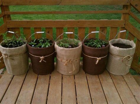How To Reuse Buckets In Your Garden 18 Bucket Gardening