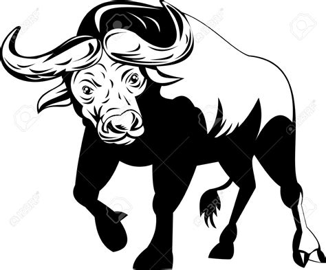 Buffalo Clipart Black And White Free Download On Clipartmag