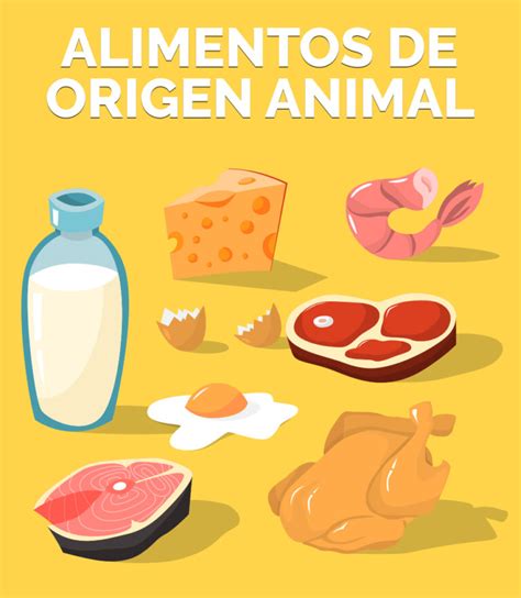 Alimentos De Origen Animal ® Actividades Para Primaria