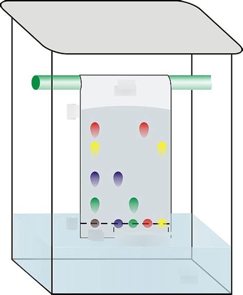 Chemical Analysis Paper Chromatography Diagram Quizlet