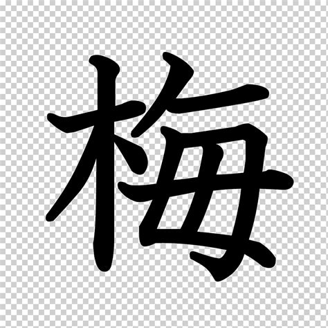 Orden De Trazo Caracteres Chinos Escritura Semicursiva Radical Kanji