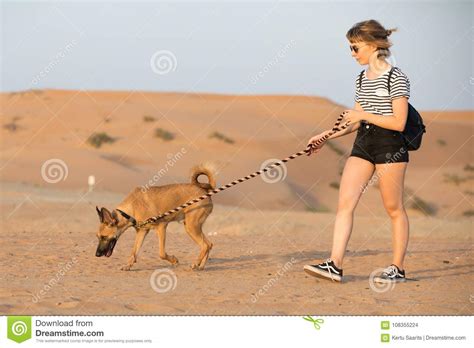 Amedelyofpotpourri: Basenji Dog Dubai
