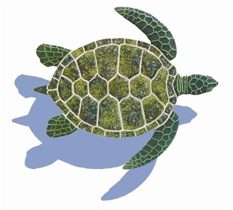 Shadow Patterns For Mosaic Tiles Ceramic Shadowed Green Sea Turtle