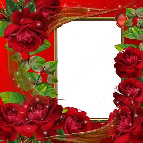 Beautiful Red Roses Transparent Photo Frame Gallery Yopriceville
