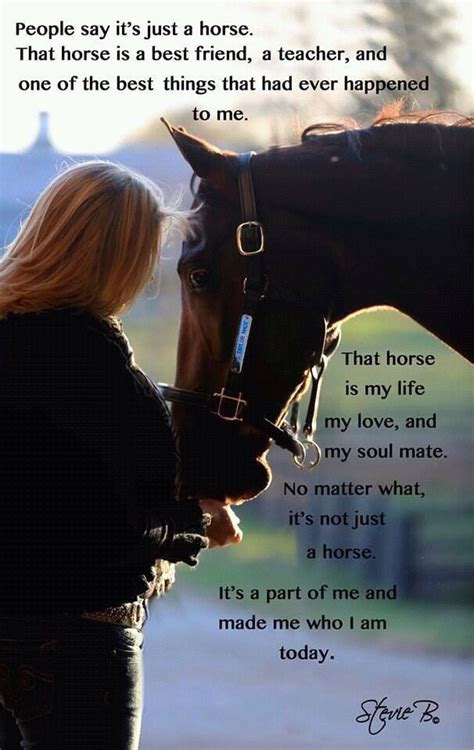 My Horses Are Life Quotes Quotesgram