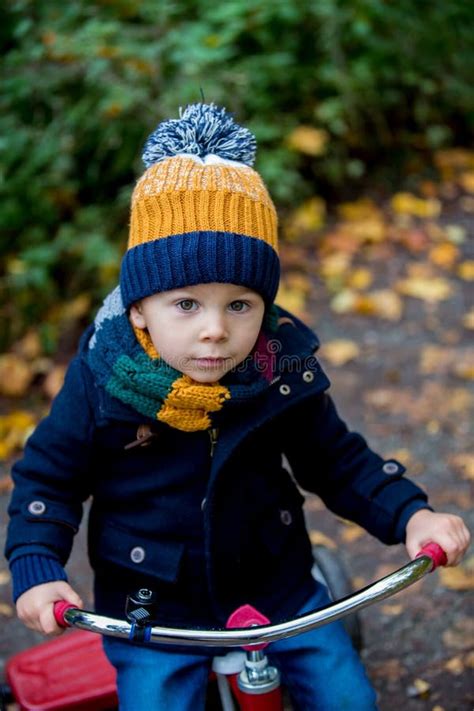 Cute Toddler Child Boy Playing In Park On Sunny Autumn Day Stock