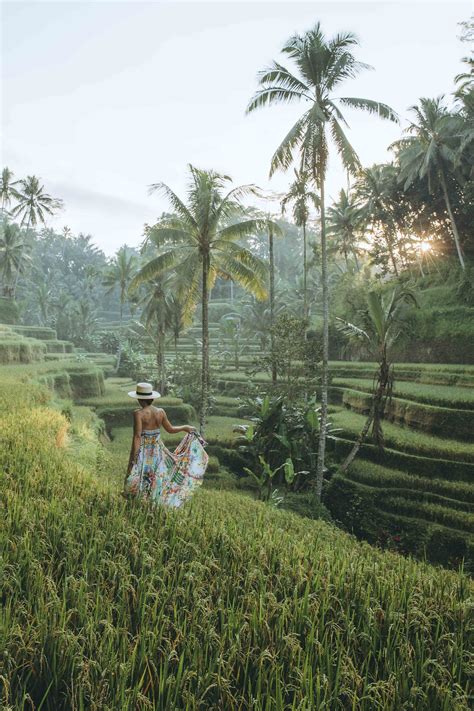 10 Insta Worthy Things You Must Do In Ubud Bali One World Just Go