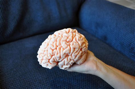 Best 3D prints: The coolest things people have printed