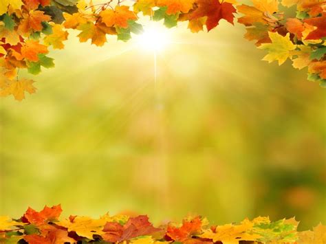 Background With Autumn Leaves Art Backgrounds For Powerpoint Templates