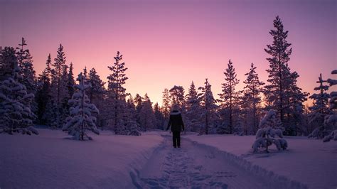 Polar Nights Has Begun In Lapland Where Sun Doesnt Rise Now